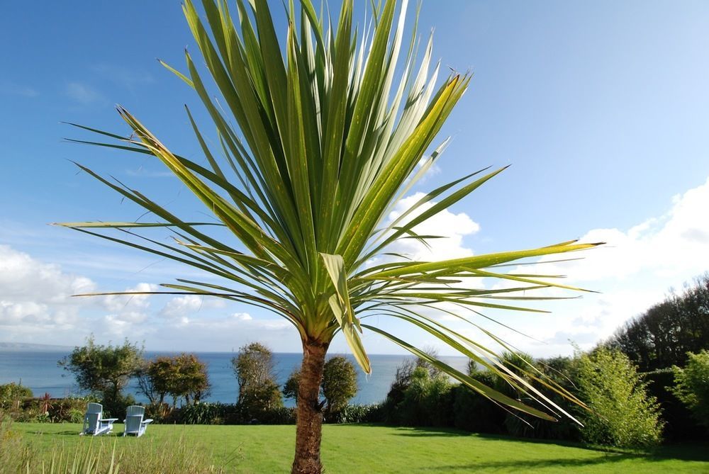 Trevalsa Court Hotel Mevagissey Exteriér fotografie